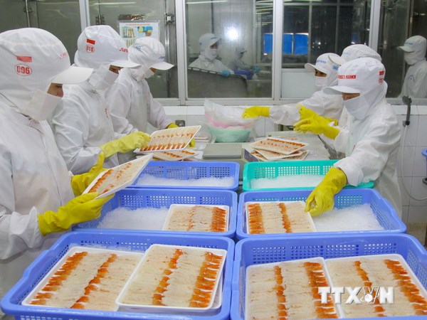 Вьетнамские предприятия продвигают экспорт сельхозпродукции и аквапродуктов в Египет